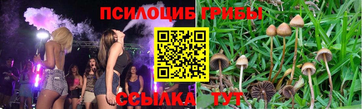 Галлюциногенные грибы мухоморы Чапаевск