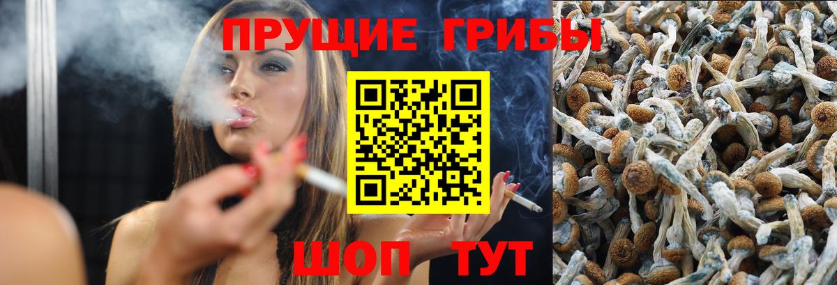 Галлюциногенные грибы ЛСД  Галлюциногенные грибы Psilocybine cubensis  Чапаевск  Вход с VPN 